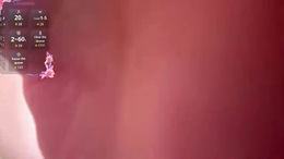 pekadark past broadcast snapshot