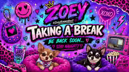 zoeyknowsbest past broadcast snapshot