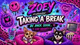 zoeyknowsbest past broadcast snapshot