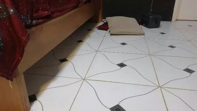 imhaymed live webcam preview