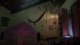 pinocchiostarg past broadcast snapshot