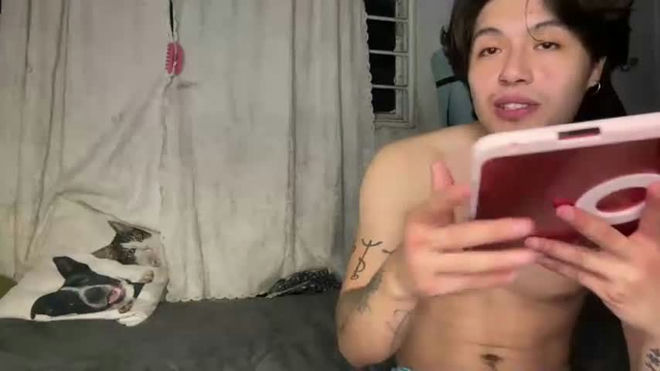 halloweencutetown live webcam preview