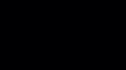 danmsel past broadcast snapshot