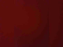 Xelga569900 past broadcast snapshot
