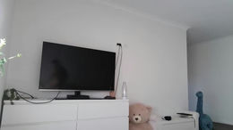 thenoahbailey past broadcast snapshot