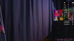 zelda_1 past broadcast snapshot