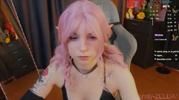 zelda_1 past broadcast snapshot