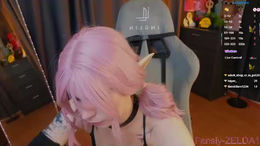 zelda_1 past broadcast snapshot