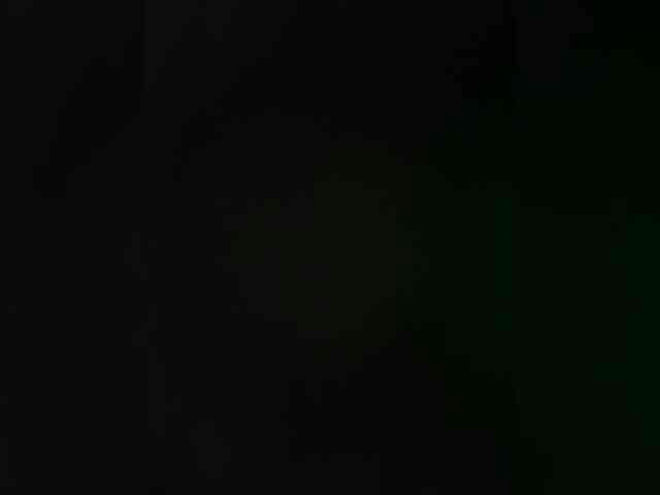 AdelaideLisa live webcam preview