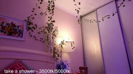 sugar_peasy past broadcast snapshot