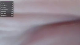 xella_wildx past broadcast snapshot