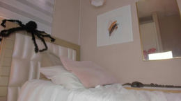 isabela__x past broadcast snapshot