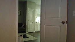 stassiebabyxo past broadcast snapshot