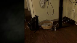 kittyplay3 past broadcast snapshot