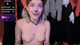 bellaodisea past broadcast snapshot
