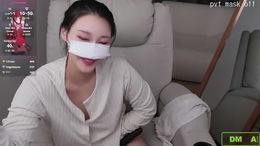kor_cat past broadcast snapshot