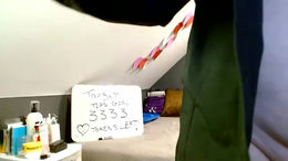 fionna_fineas past broadcast snapshot