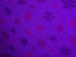 Kissakio past broadcast snapshot