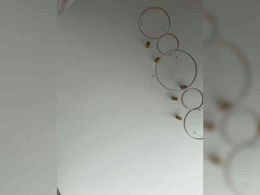 Milana20026 past broadcast snapshot