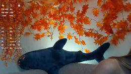 little__caprice past broadcast snapshot