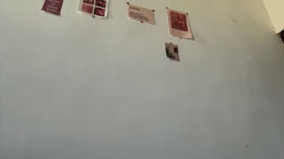 deeannaficenec past broadcast snapshot