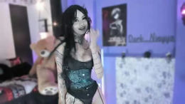 dark_ningyo past broadcast snapshot