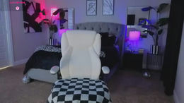 tatted_vixen past broadcast snapshot