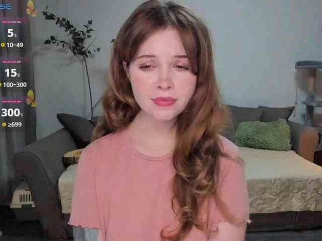 Antarinda live webcam preview