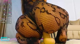 ilikeithaard past broadcast snapshot