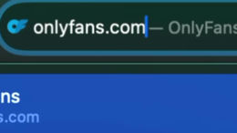 ocicat past broadcast snapshot