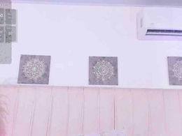 amira-s past broadcast snapshot