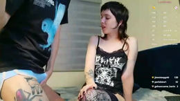 damndoggy past broadcast snapshot
