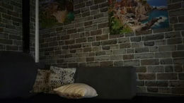 denise_brad past broadcast snapshot