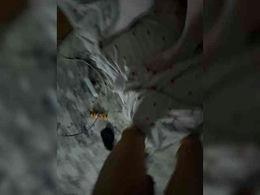 Pollii18 past broadcast snapshot