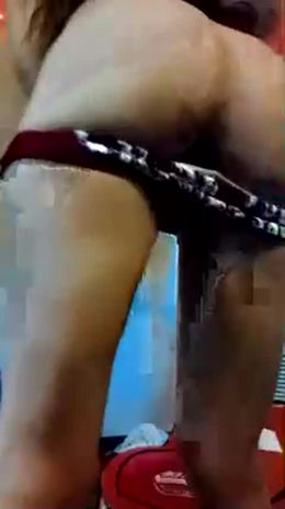 wetlilys past broadcast snapshot