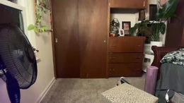 opalwinterr past broadcast snapshot