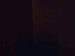 XbogdyX past broadcast snapshot