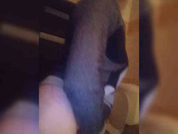 XbogdyX past broadcast snapshot