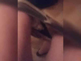 XbogdyX past broadcast snapshot