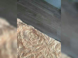 EvaaloveMer2gas past broadcast snapshot