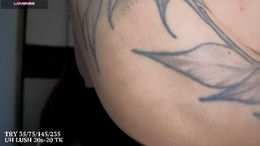 _morpho_ past broadcast snapshot
