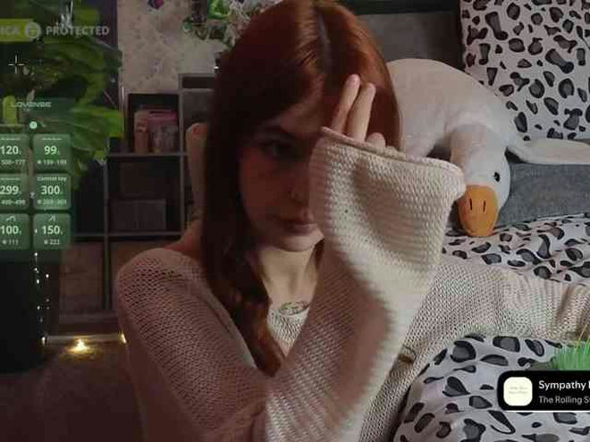 LisLy live webcam preview