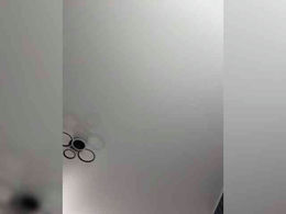 Potifays past broadcast snapshot