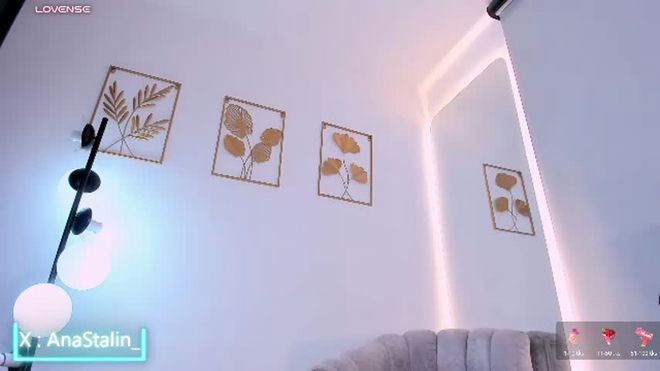 anastalin live webcam preview