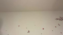 scarletskyee past broadcast snapshot