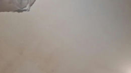 minniehunney past broadcast snapshot