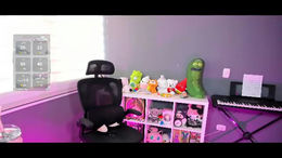 ashleycat9 past broadcast snapshot