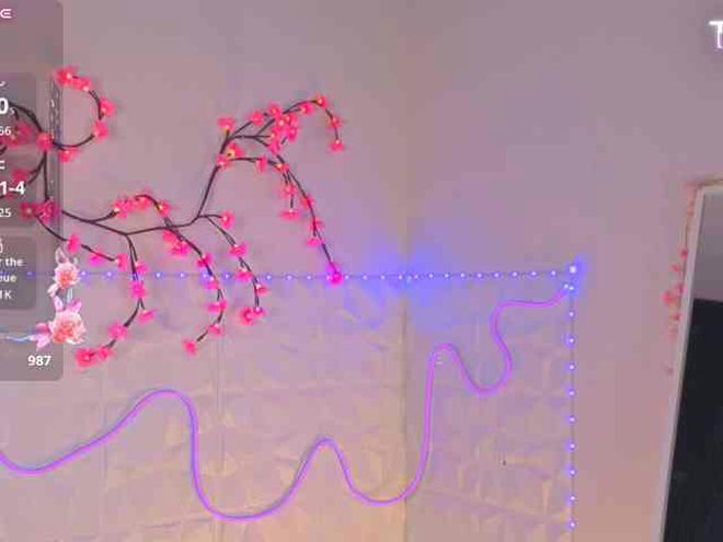 Monna-Krrrista live webcam preview