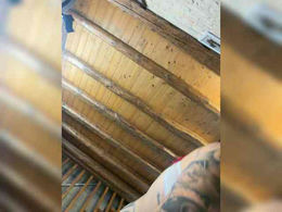 Dollyred past broadcast snapshot
