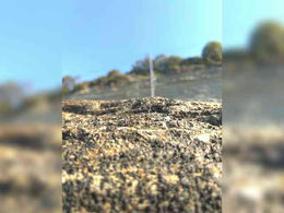 AlikBlack past broadcast snapshot